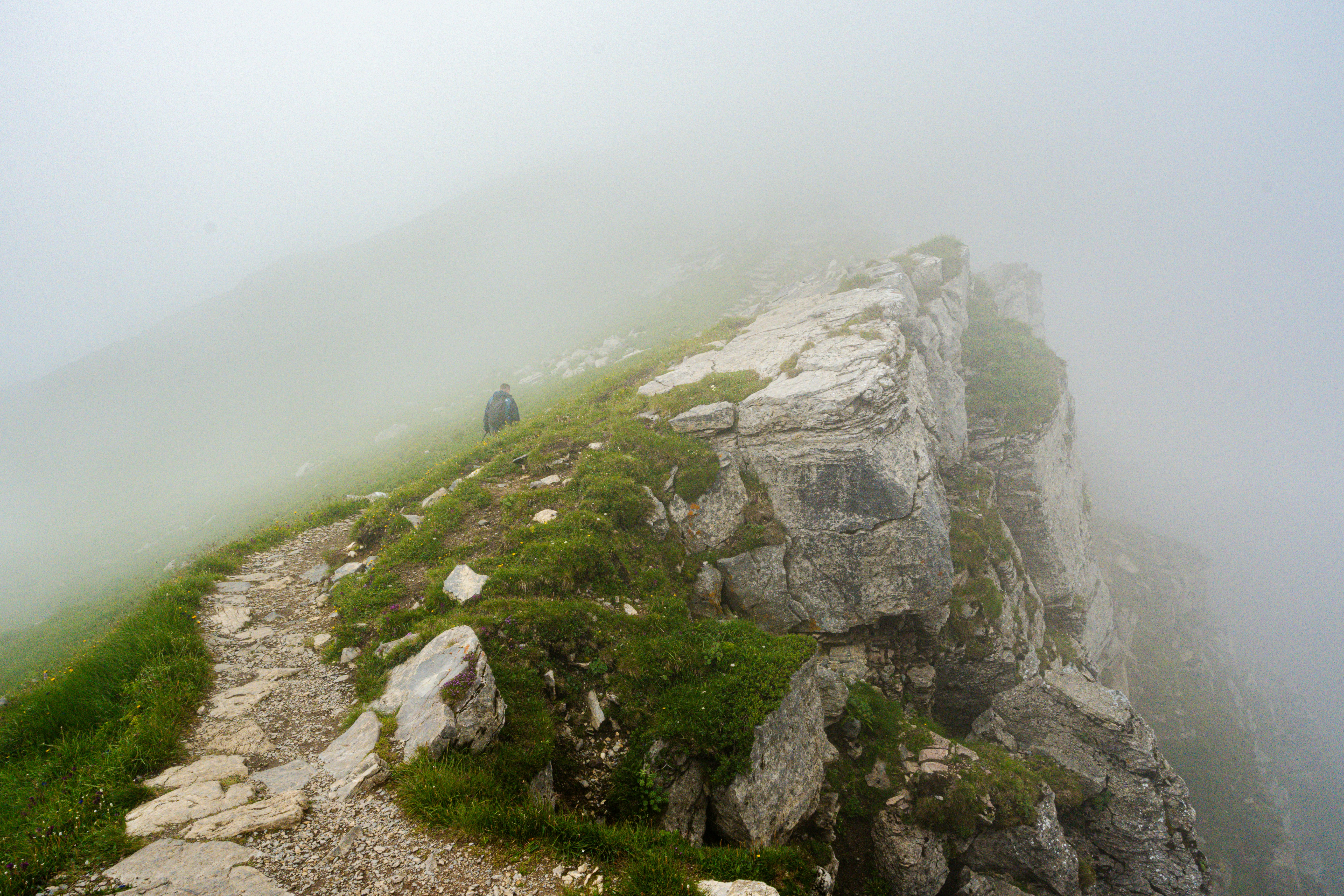 Hikers walking along narrow mountain trail through dense rainforest